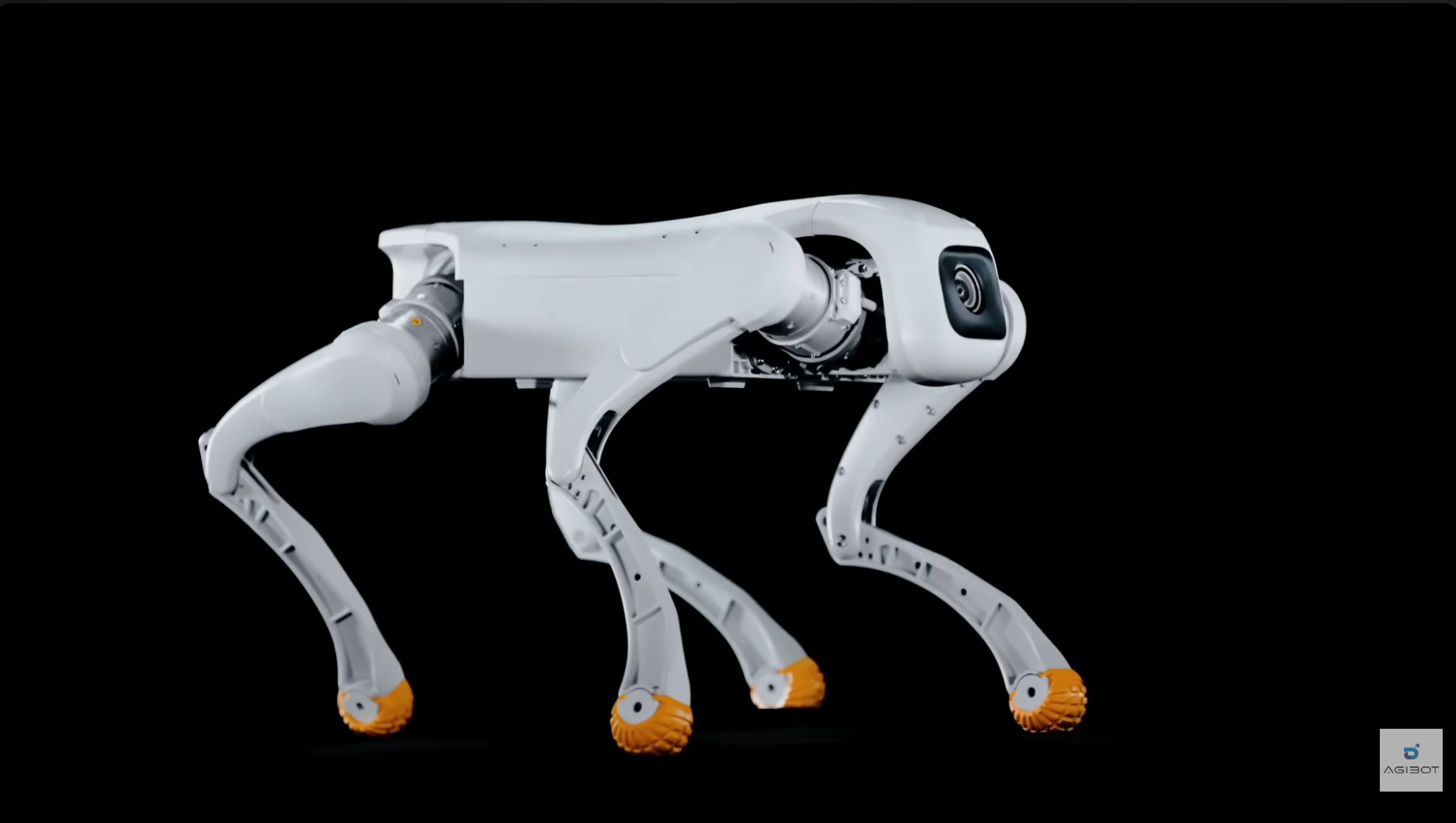 AGIBOT D1 Pro/Edu robot