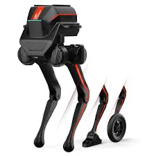 Tron 1 robot