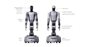 Cruzr S2 robot